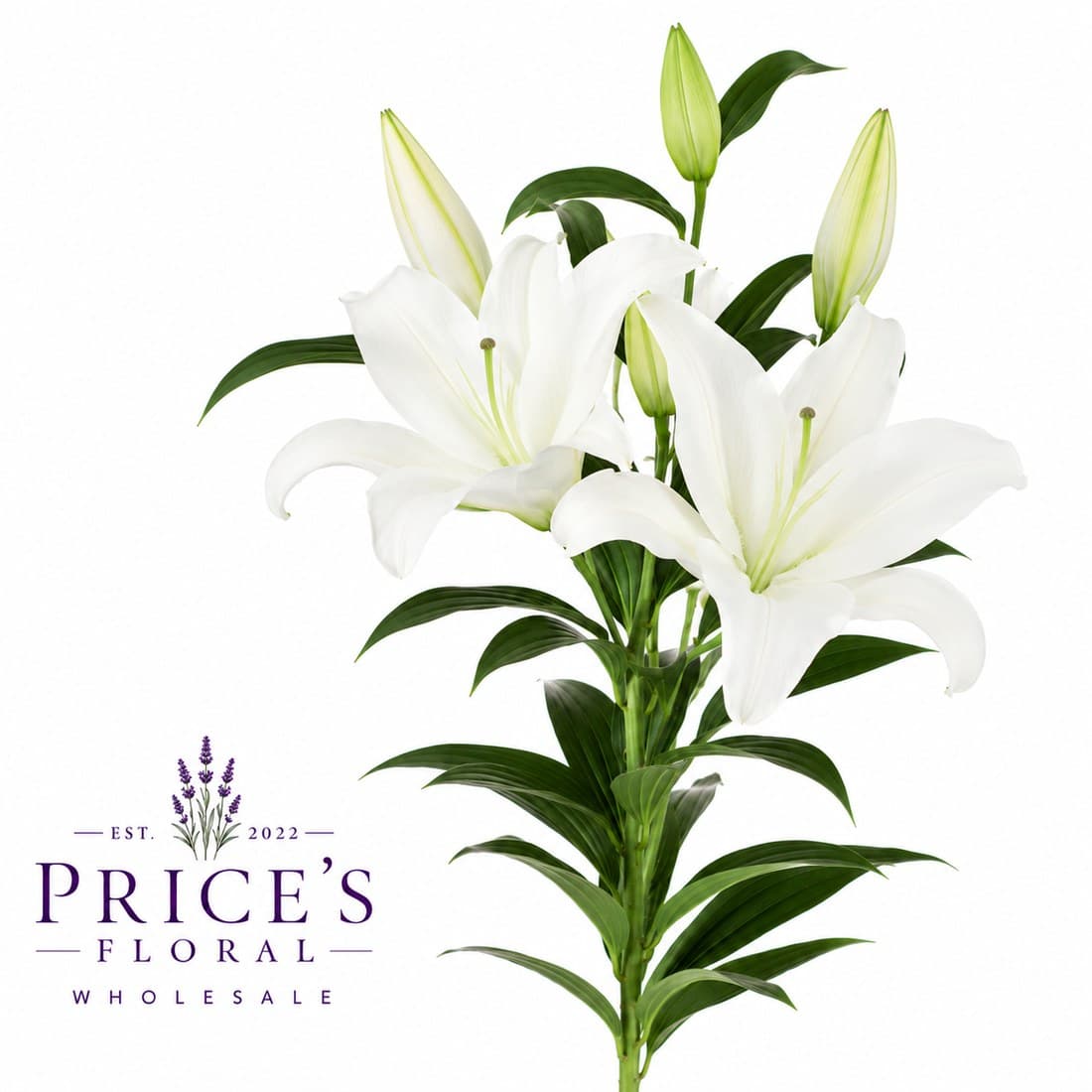 Lilies