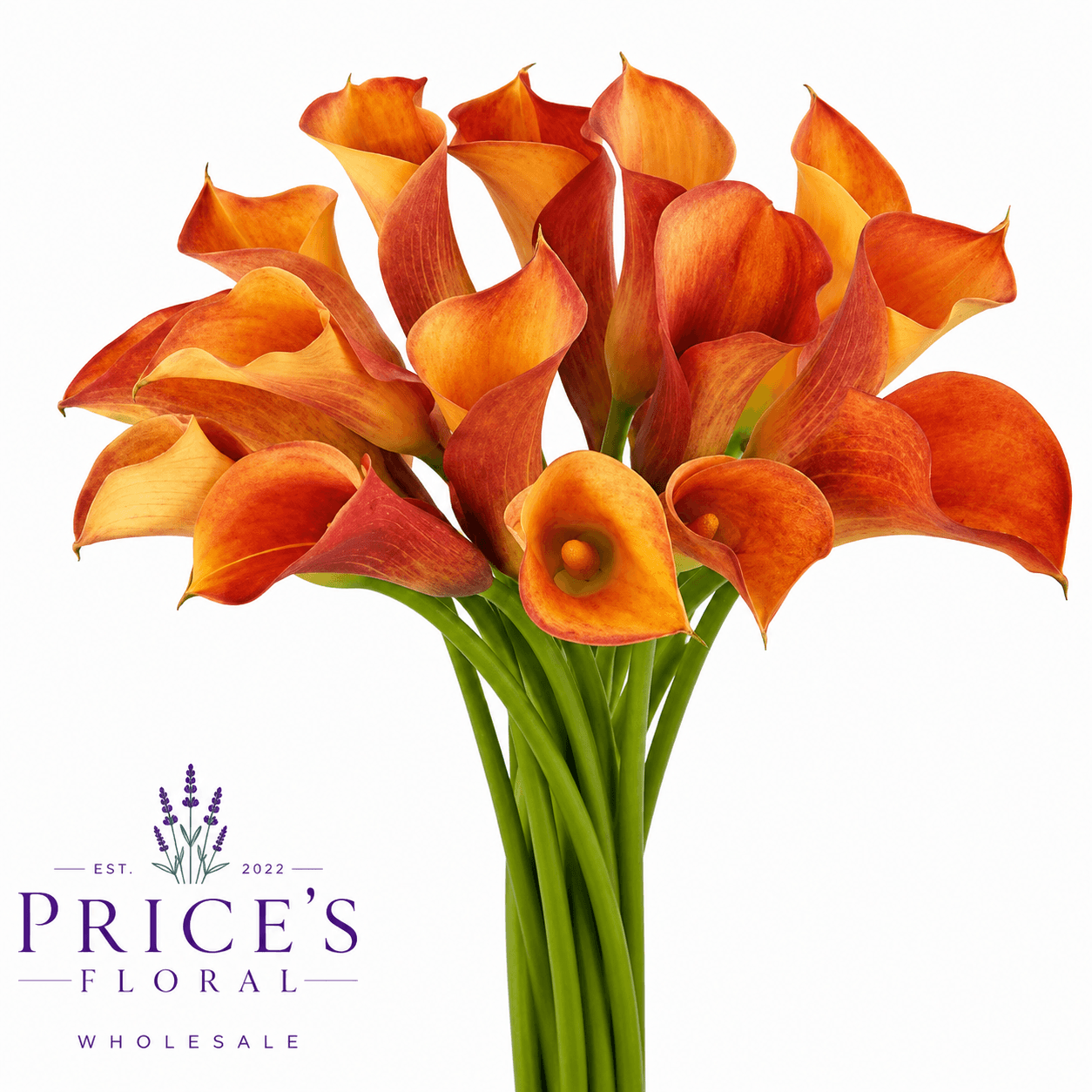 Mini Calla Mango 50 cm