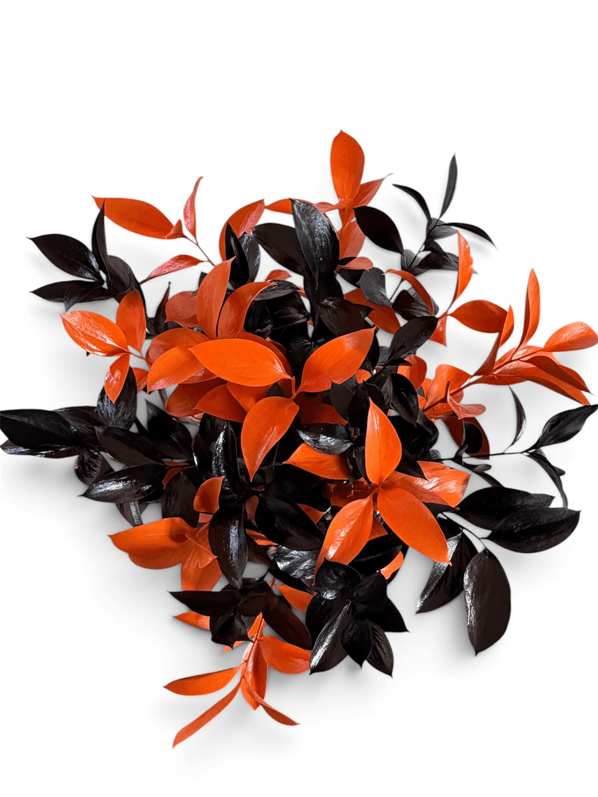 Greens Ruscus Israeli Halloween Pack Ab