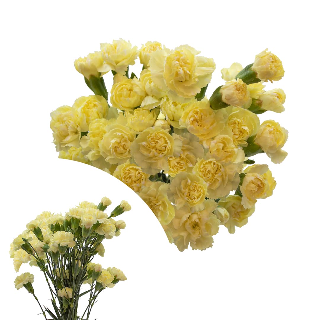 Minicarns Yellow