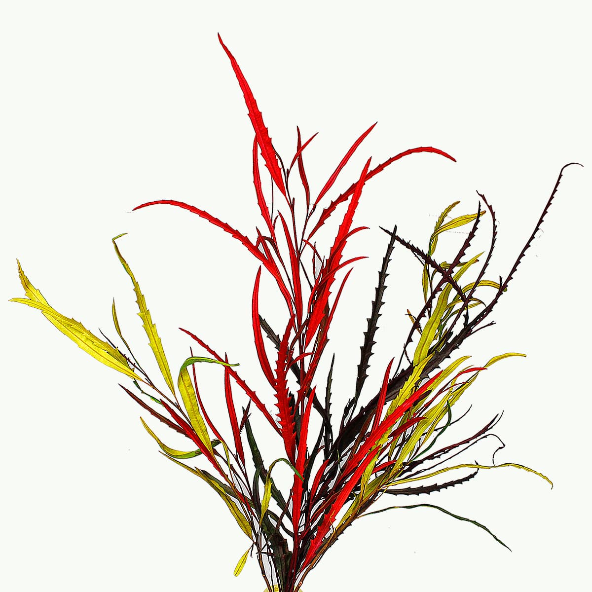 Greens Grevillea Fall Pack 150 Grams
