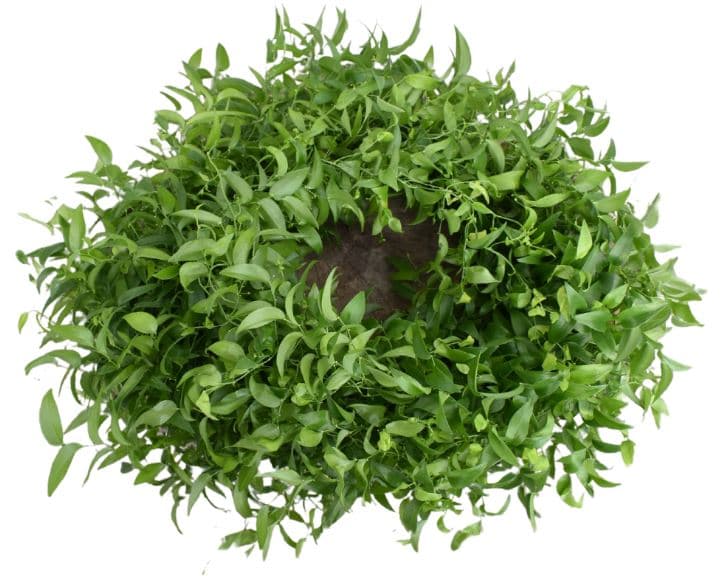 Greens Garland Smilax Green 120/140 Cm