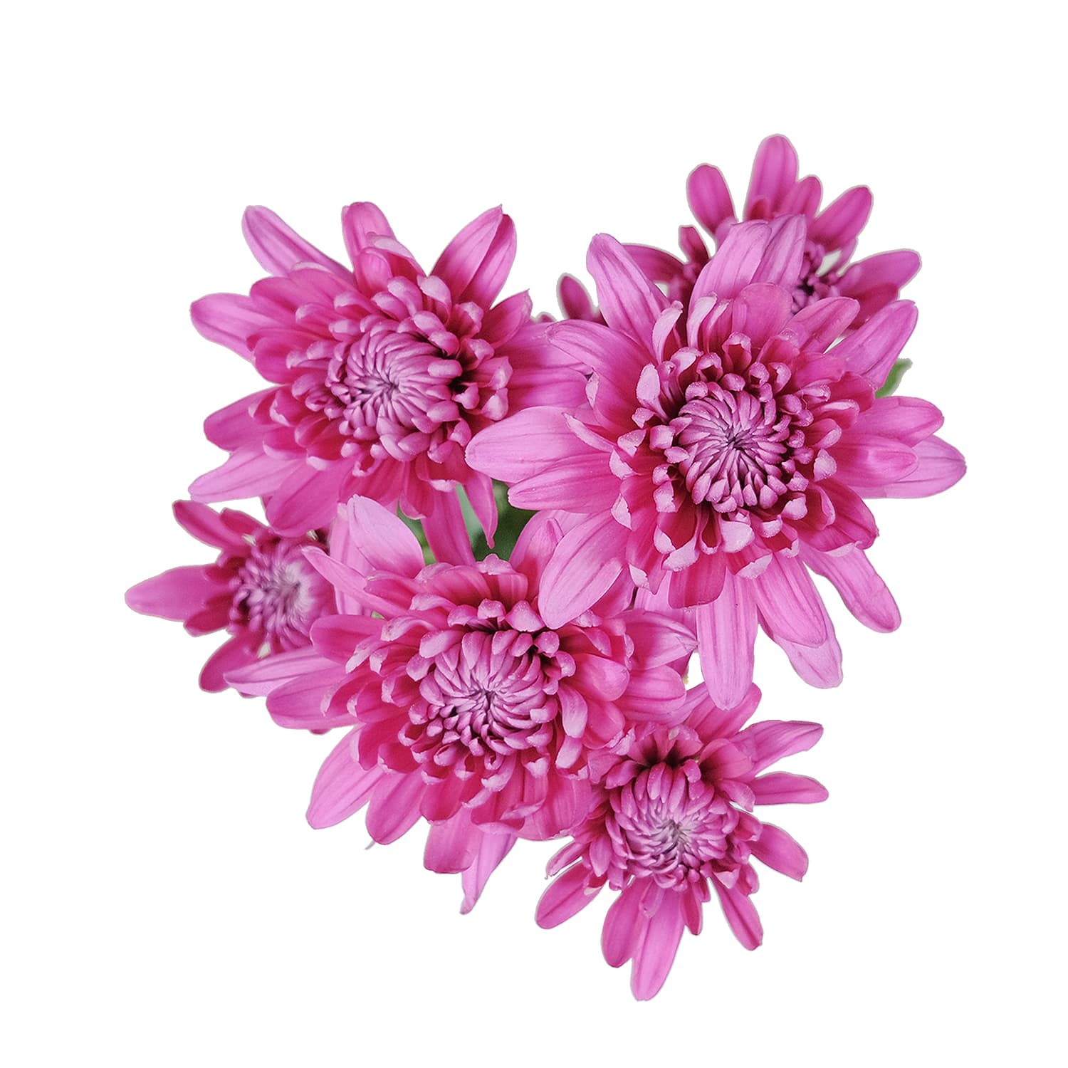 Pom Cushion Andrea Purple