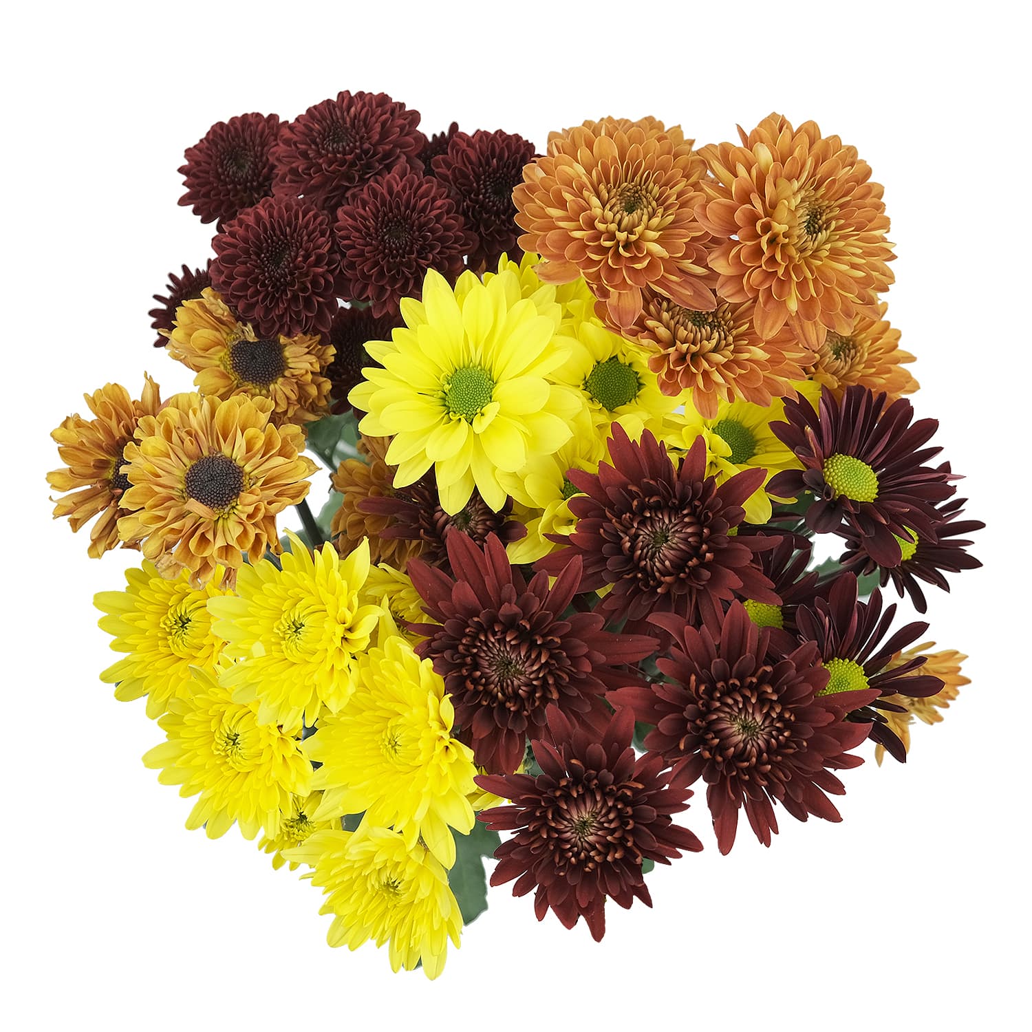 Pom Cdn Fall Pack