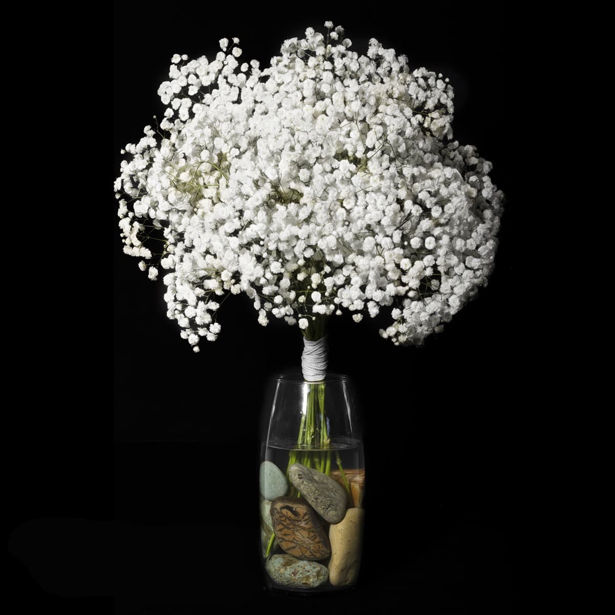Gypsophilia White Excellence Select 250g