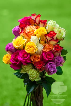 Roses - Assorted 50c