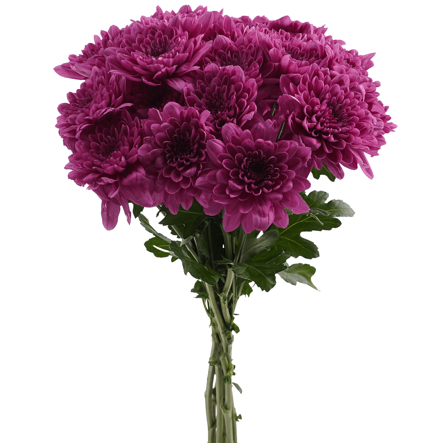 Pompon Cushion Botanika Brazuca Purple Select