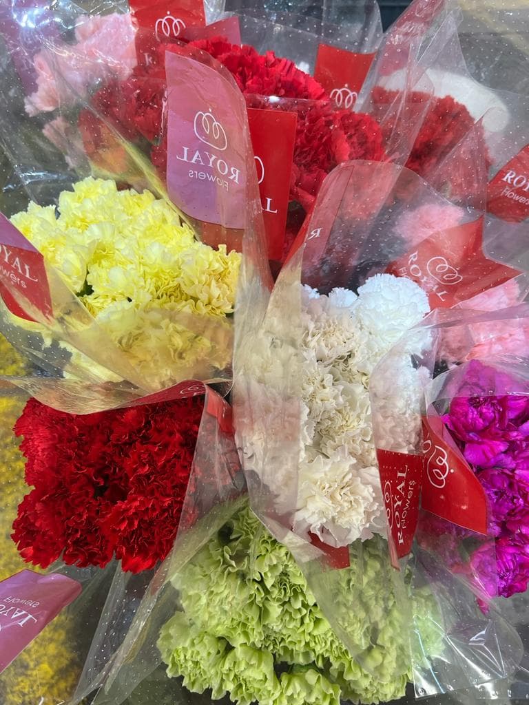 Carnation Assorted Fancy
