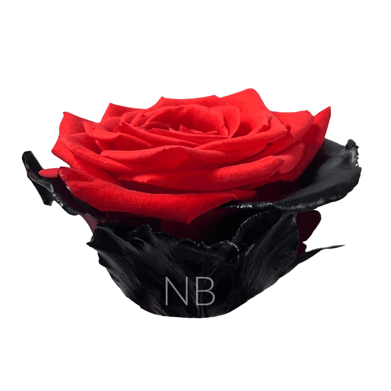 ROSE TINTED BLOODY NINA 60CM