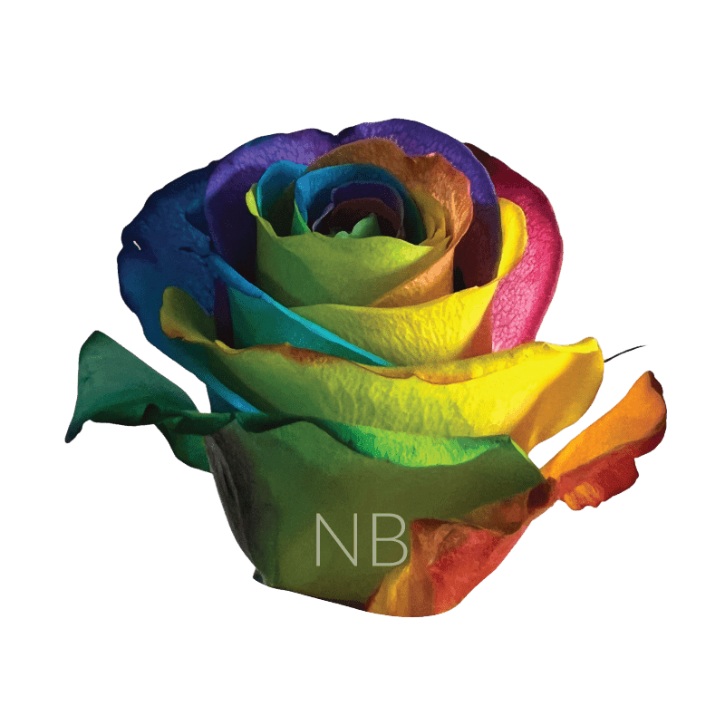 RAINBOW TINTED HOT RAINBOW 60CM