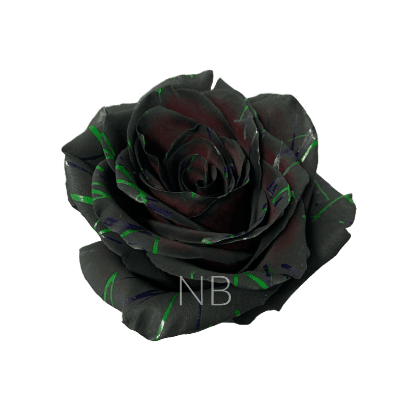 ROSE TINTED BLACK HALLOWEEN CONFETTI - 3 60CM