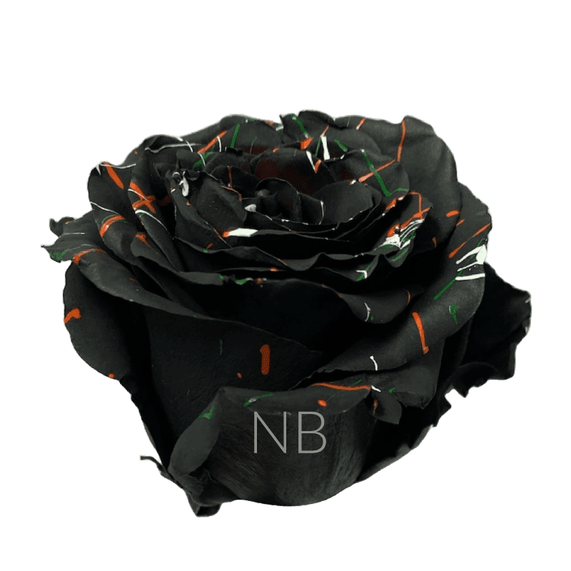 ROSE TINTED BLACK HALLOWEEN CONFETTI - 1 60CM