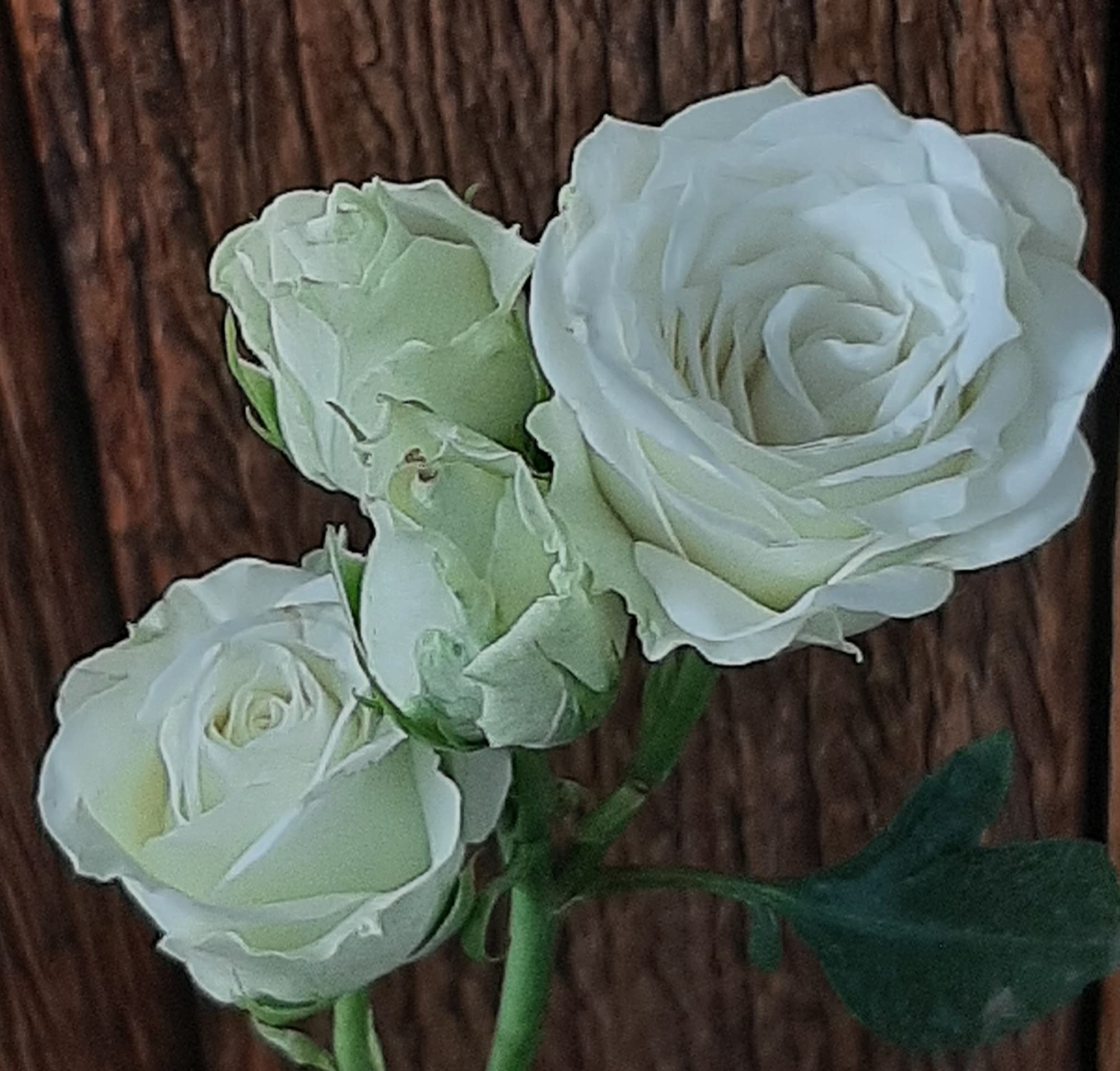 Spray Roses Mykonos White 40 Cm