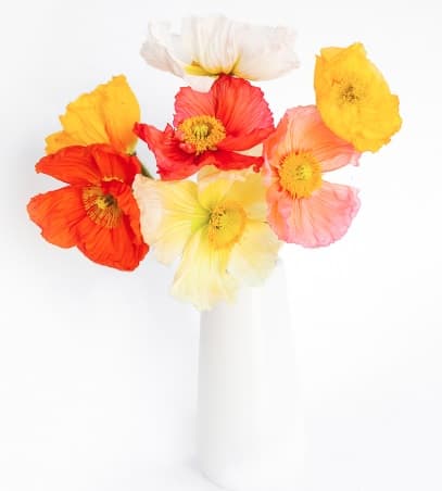 Poppy Mix 50 Cm