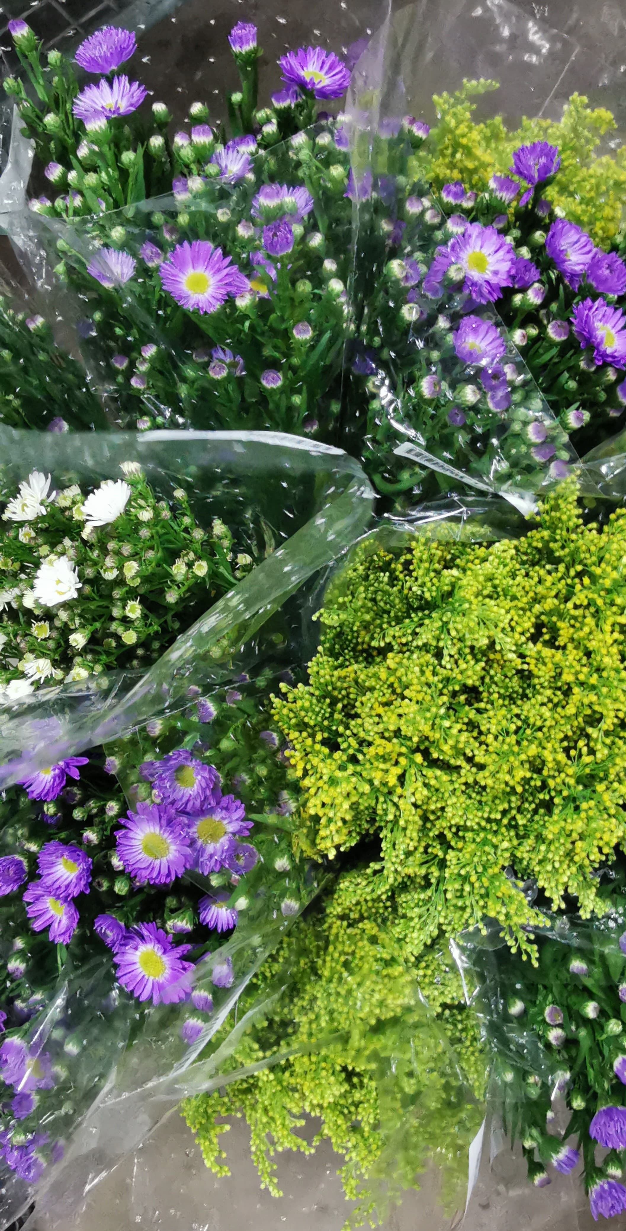 Aster Assorted Super Select