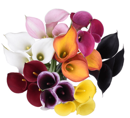 Mini Calla Assorted 50cm