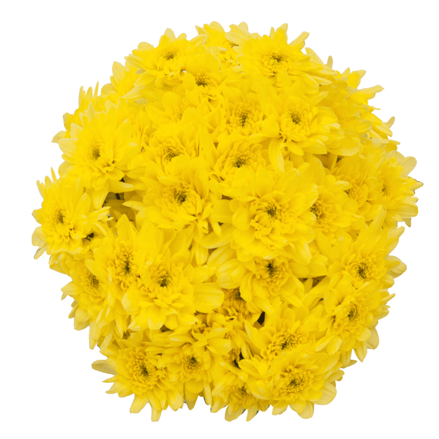 Pom Cushion Yellow