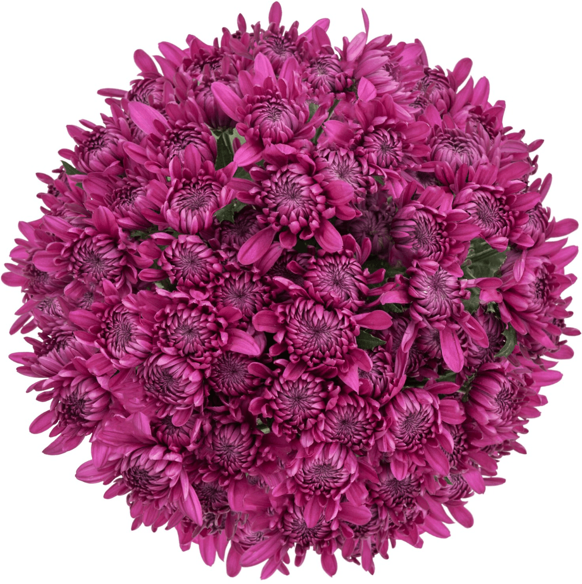 Pom Andrea Purple Cushion