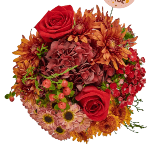 Bqt Cinnamon Pumpkin Spice Fall