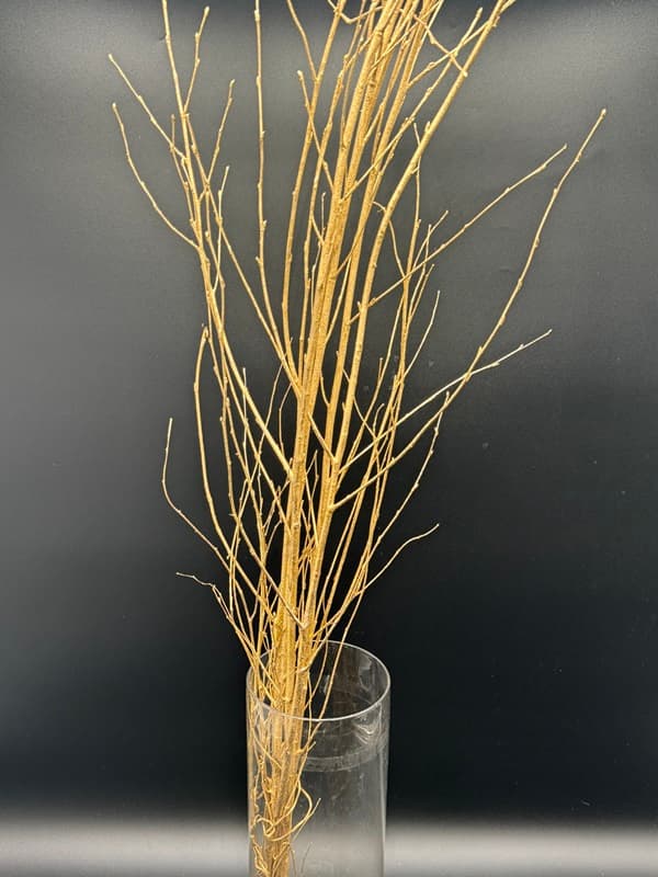 BIRCH BRANCHES Gold W/GLITTER 30BU/BX