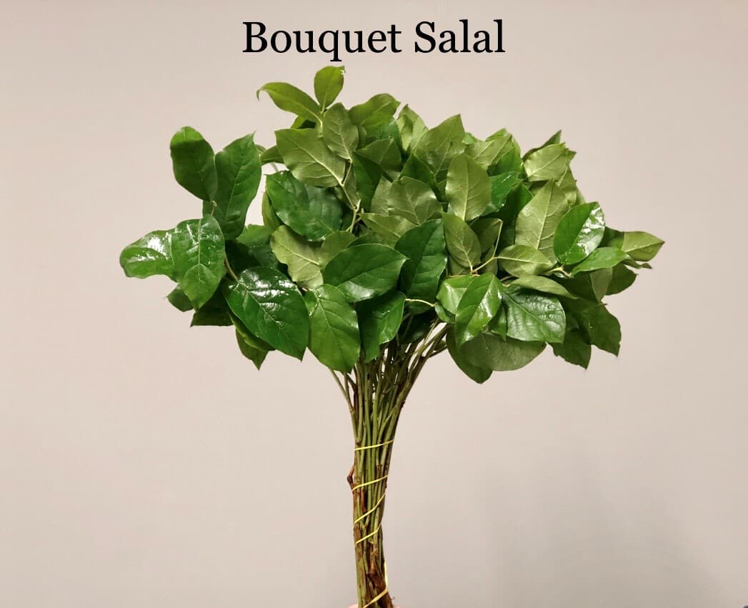 Salal Bouquet Green Bqt 40 BU/BX 60cm