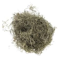 Moss Spanish GREY DRY 10 Lb Volumetric