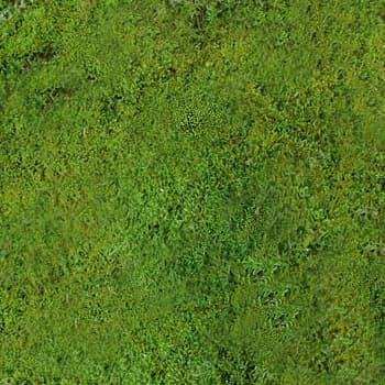 Moss Sheet GREEN 10 Lb Volumetric