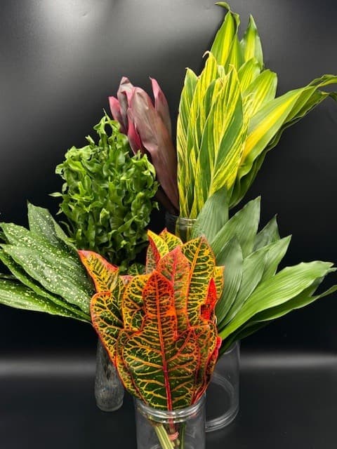 Tropical Foliage Green MIX  140ST/BX 50cm