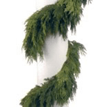 Cedar Garland Green 75'