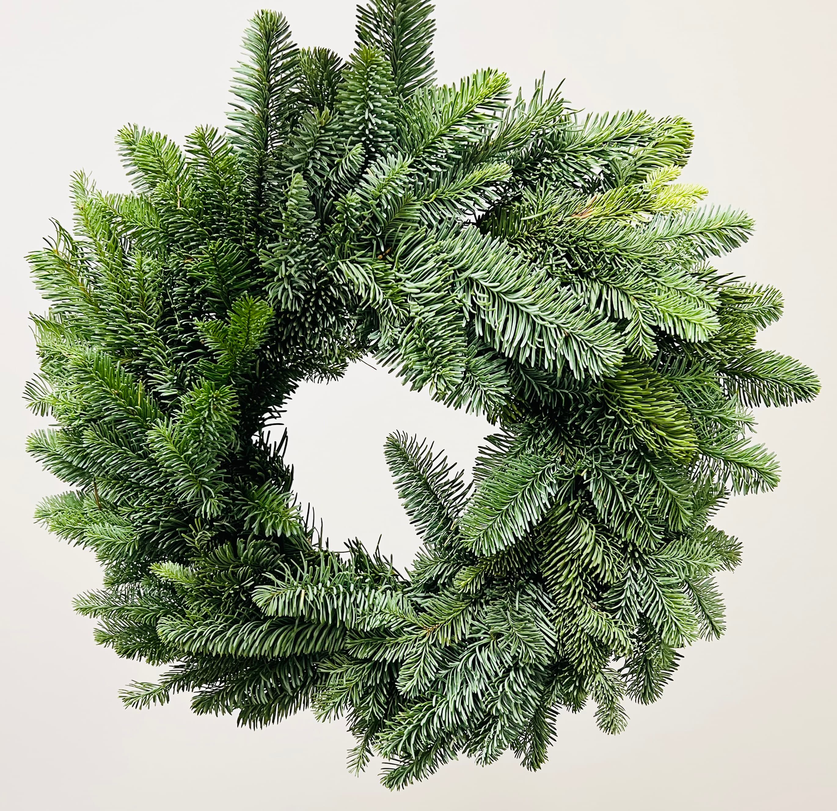Christmas Wreath Plain 16"