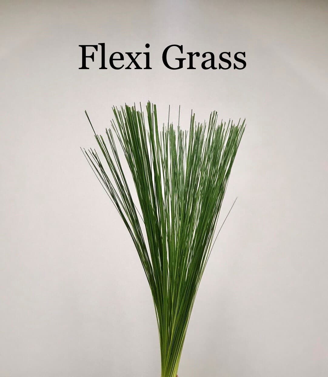 FLEXI GRASS GREEN 30 BU/BX 90-120CM