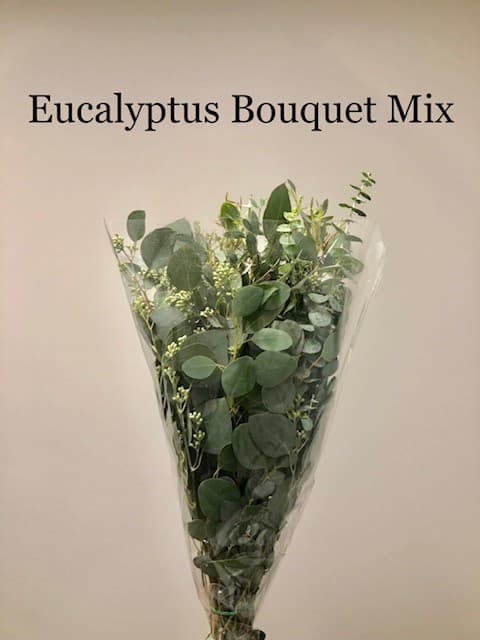 Eucalyptus Mix Bouquet 16 Bu/bx Green 60cm-70cm