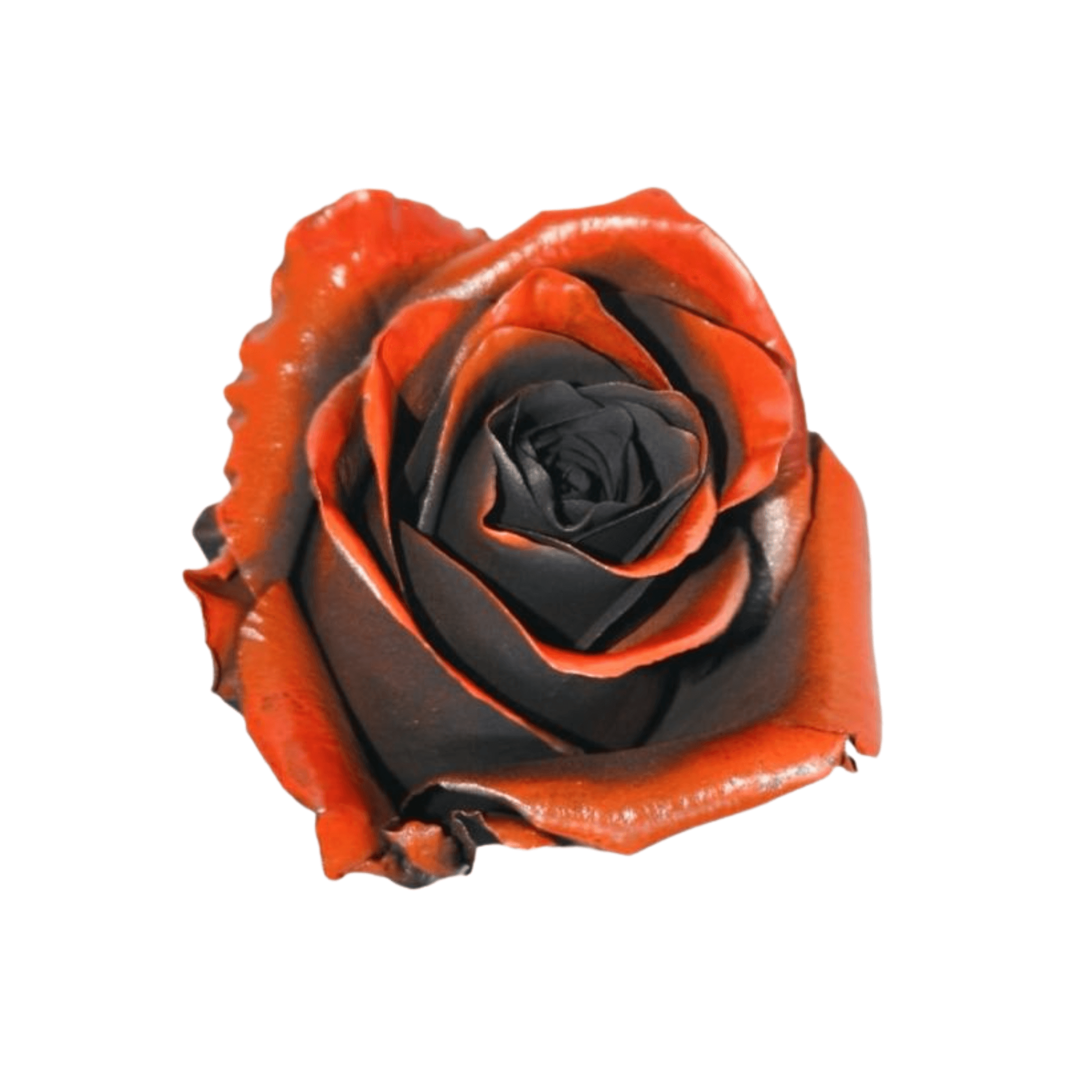 Roses Haunted Flame Halloween 60 Cm