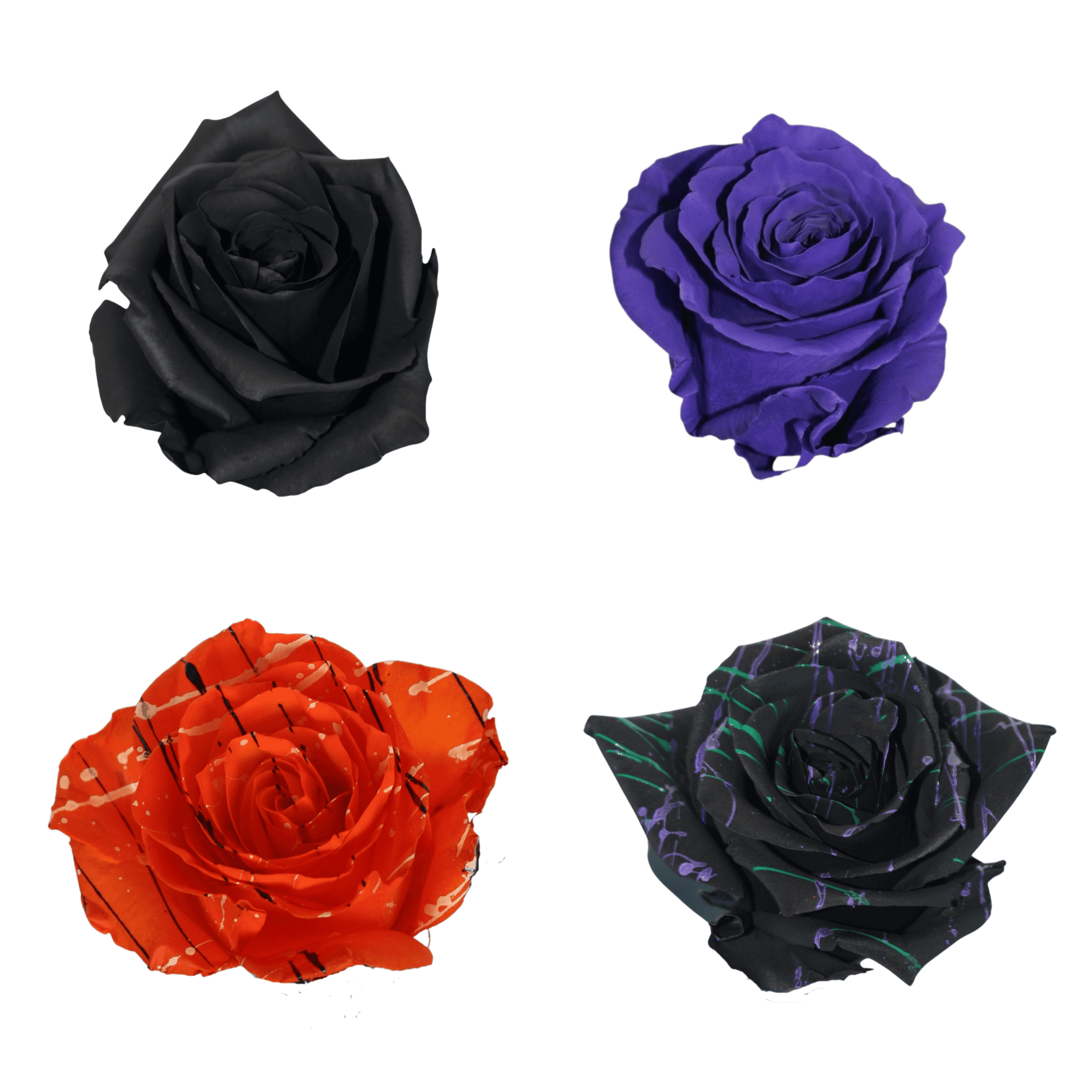 Roses Spooky Mix Box Assorted Halloween Tinted 60 Cm