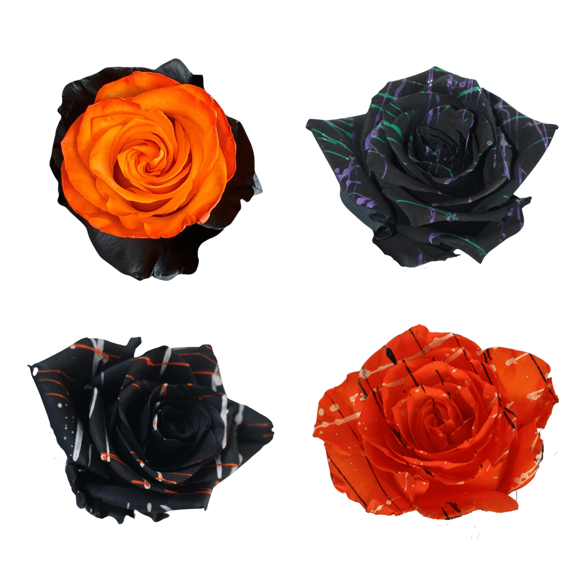 ASSORTED HALLOWEEN TINTED ROSES HAUNTED MIX BOX 60 CM