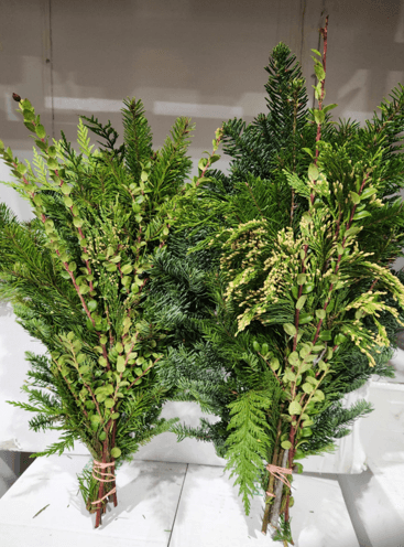 X-mas Bqt Variety Sleeved Greens 10 St 55/60 Cm