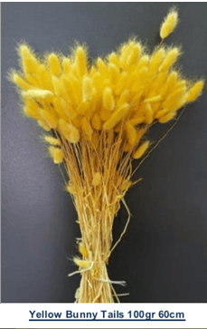 Preserved Bunny Tail Lagurus Yellow