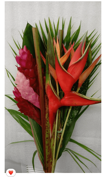 Tropical Hope Collection Bqt Assorted 70 Cm