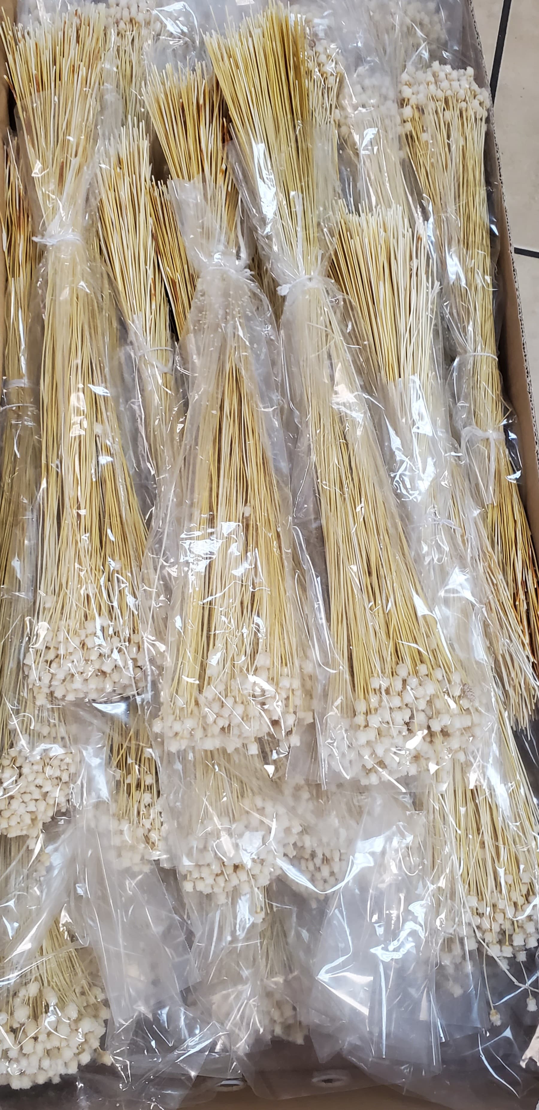 Preserved Happy Flower White Bleached 100 Gr Italia