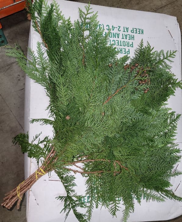 X-mas Bqt Cedar 10 St 60 Cm