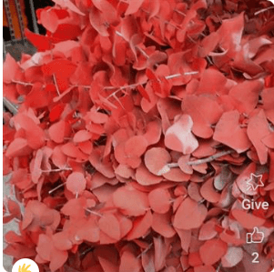 Preserved Eucalyptus Stuartiana Red 150 Gr Italia