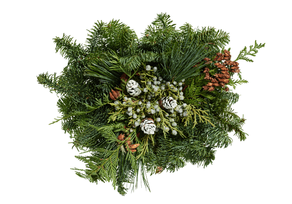 X-mas Dlx Bowl Centerpiece 1/3 Brick (12 Un)