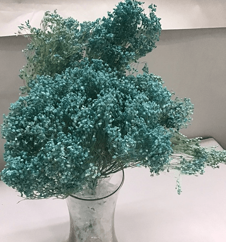 Preserved Broom Bloom Bleach Violet Lt 100 Gr - Italia