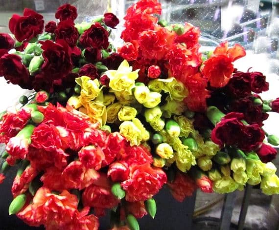 Carnation Fall Mini Asst Fancy