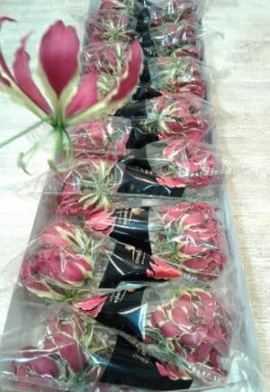 Tropical Gloriosa Lily Red Red Short 20 Cm