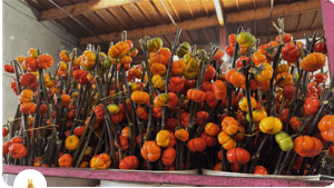 Novelty Pumpkin Tree Branch