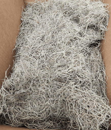 Greens Grey Spanish Moss
