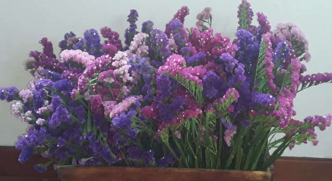 Statice Mixed Assorted 70 Cm Select