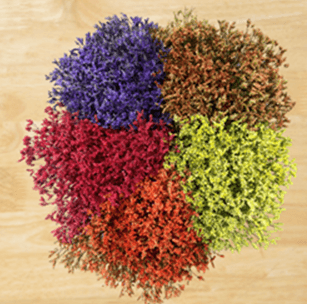 Limonium Fall Tint Dyed Assorted 60 Cm