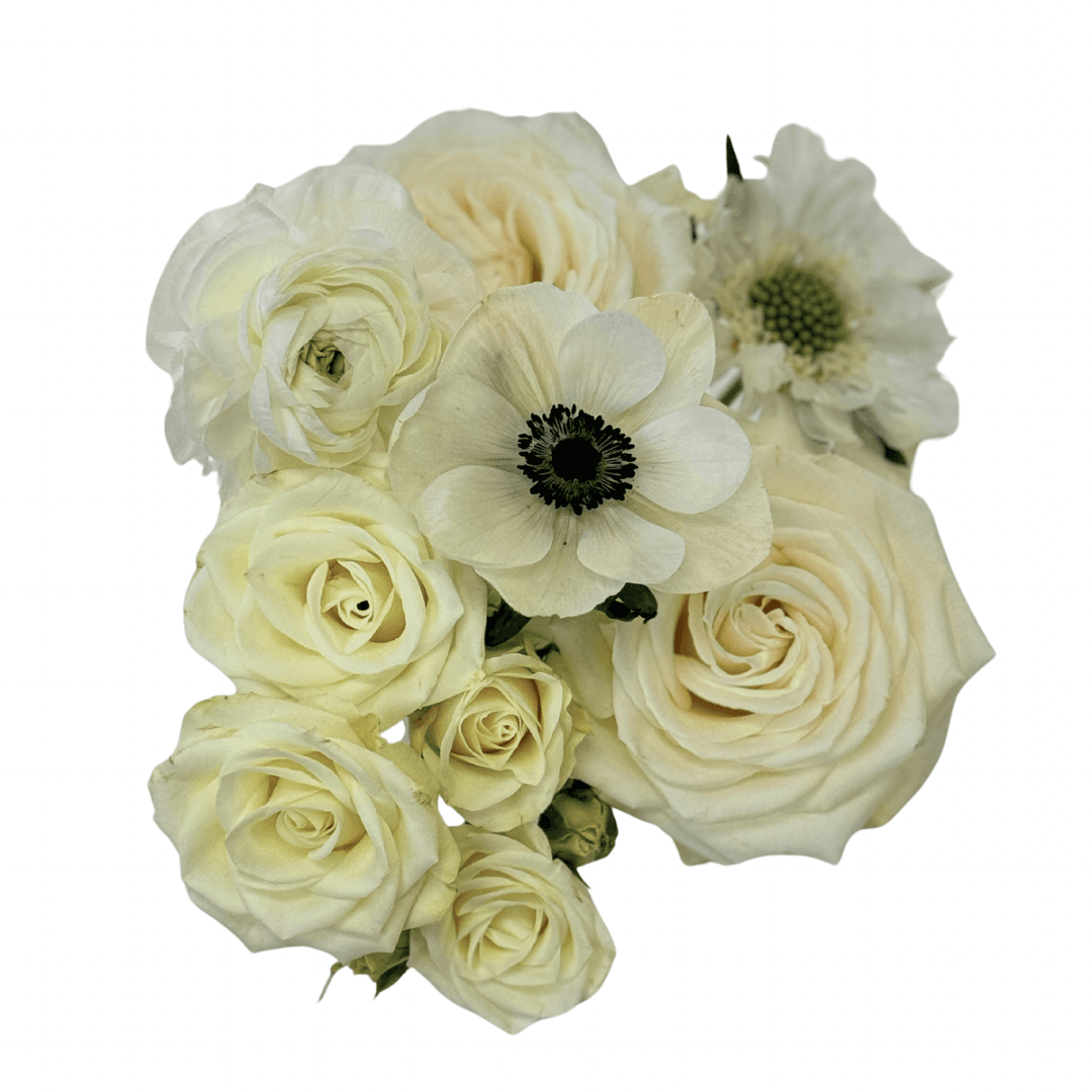 Combo 2 Ranunculus, 2 Anemone, 2 Scabiosa, 2 Spray Rose, 1 Rose White